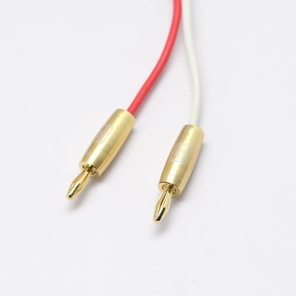Speaker Cable HIFI Audio Audiophile High Fidelity