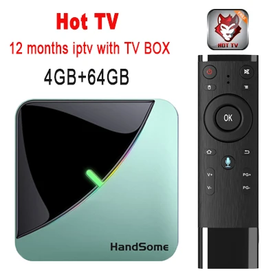 4GB 64GB 1years iptv Французский IP ТВ s905x3 Android 9,0 Смарт ТВ контейнер под элемент питания 2G 16G 4G 32G+ 7500+ NEO ТВ арабский Beigium Марокко оплатить ТВ& VOD Smart tv Set Top tv BOX - Цвет: 4GB 64GB 1years iptv