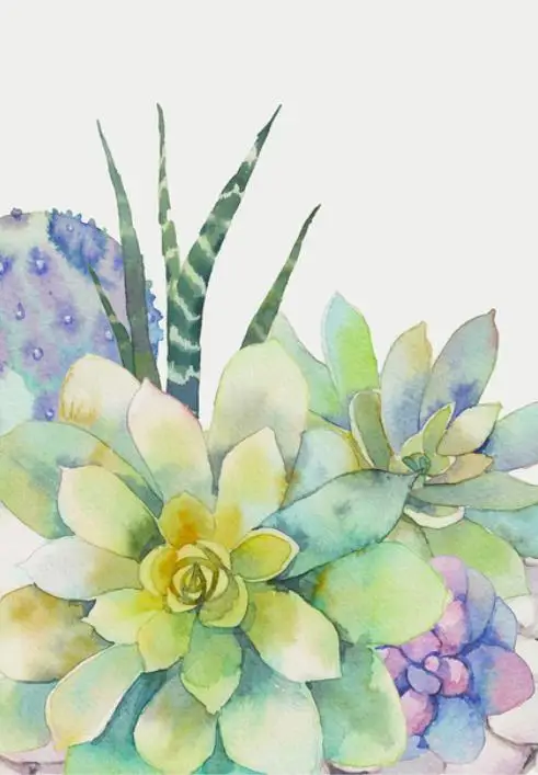 36020190327164017658