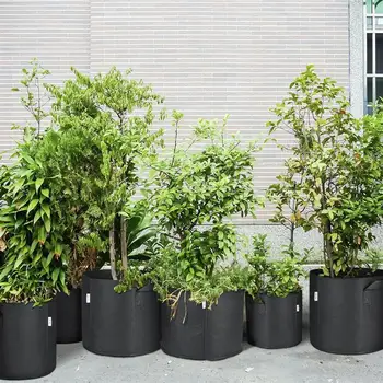 

6pcs Plant Grow Bags Heavy Duty 5/10 Gallon Vegetables Flowers Planting Bags Thickened Non-woven Plant Pot with Handles (Black)