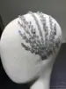 Asnora unique crystal headband wed