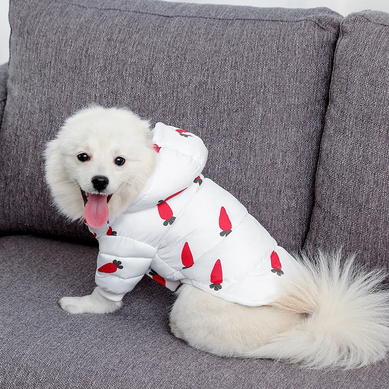 Abrigo de invierno para perro, chaqueta, traje para cachorro, Yorkshire Pomeranian, maltés, Shih Tzu, Bichon, ropa para mascotas|Abrigos y chaquetas para perro| -