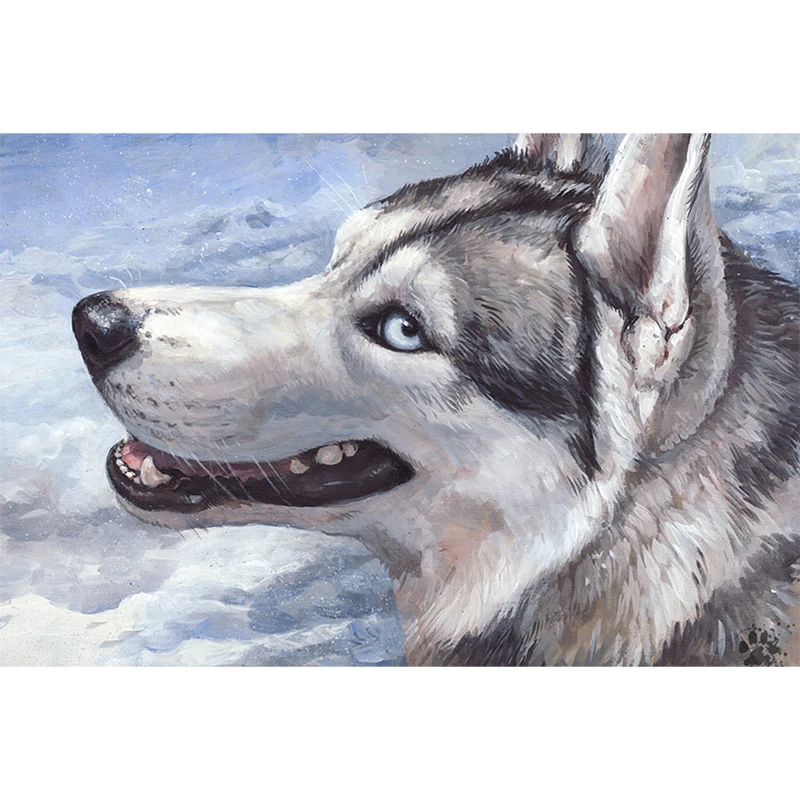 image_562403181412523814206