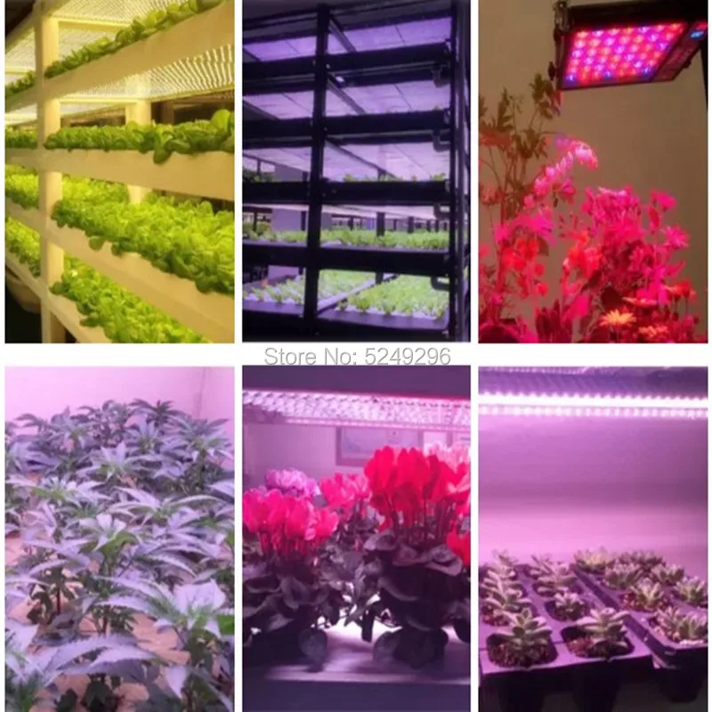 Светодиодный Grow светильник LM301B samsung SK 3000K 3500K T8Tube 50 Вт бар полный спектр комнатное растение лампы для гидропоника, шатер для выращивания 30 см 5 шт./лот
