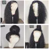 Lace Wigs