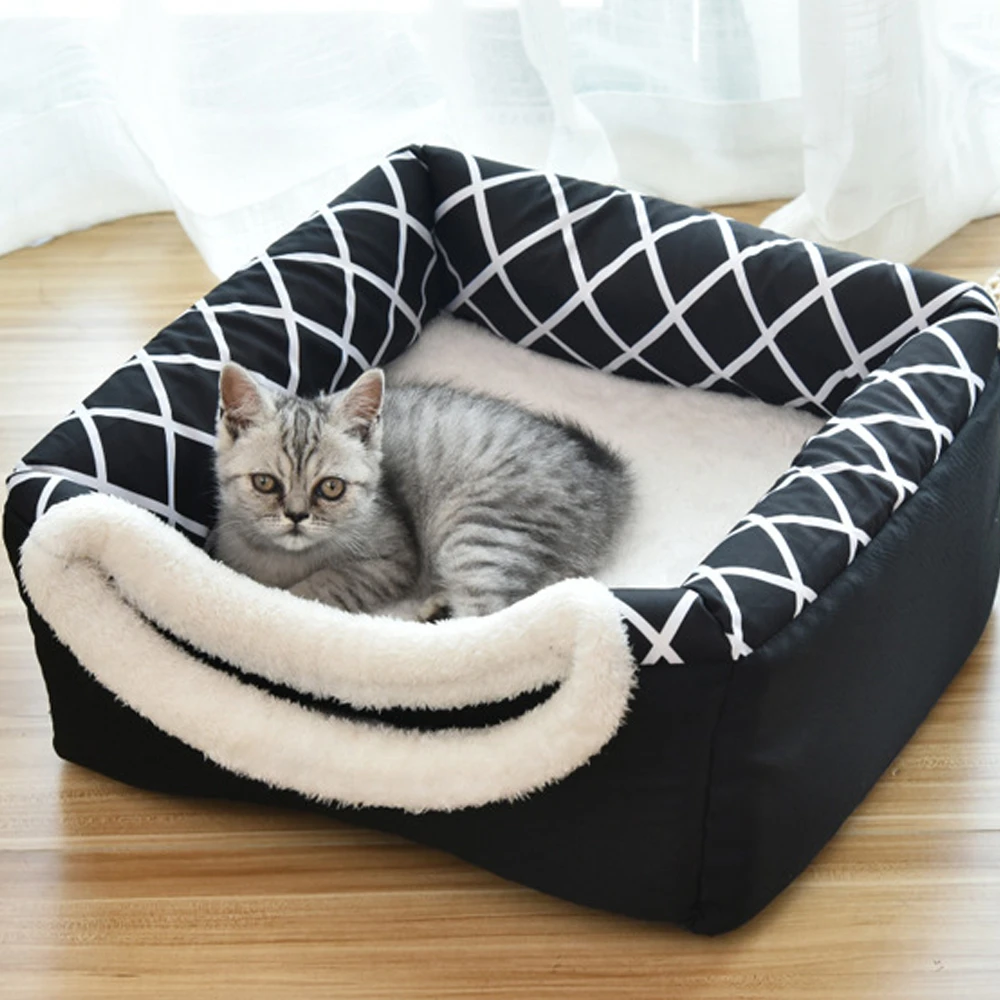 cat sleeps in dog crate