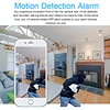Video Surveillance