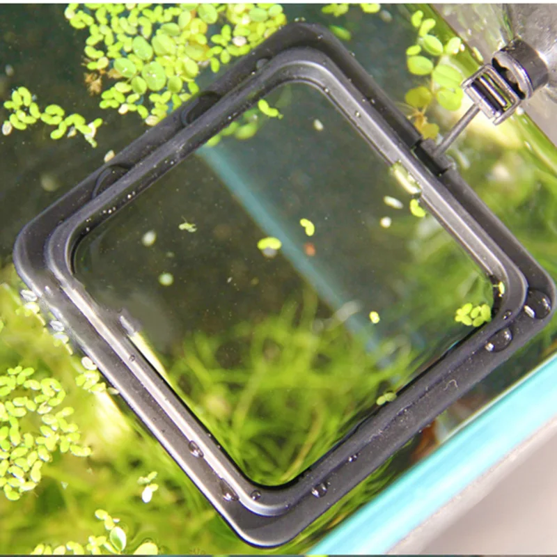 Подача кольцо аквариум станция плавающая еда тары фидер
