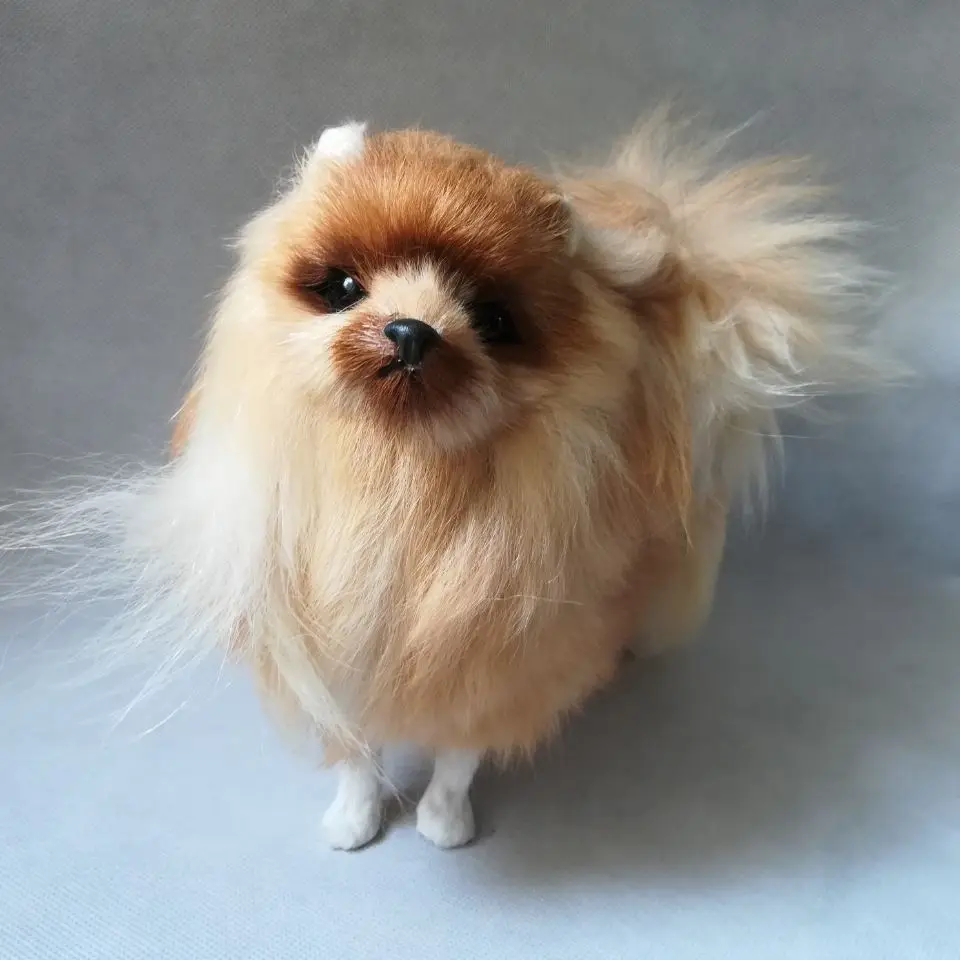real life toy dog hard model plastic&furry furs brown Pomeranian model about 24x20cm ,home decoration Xmas gift w1520