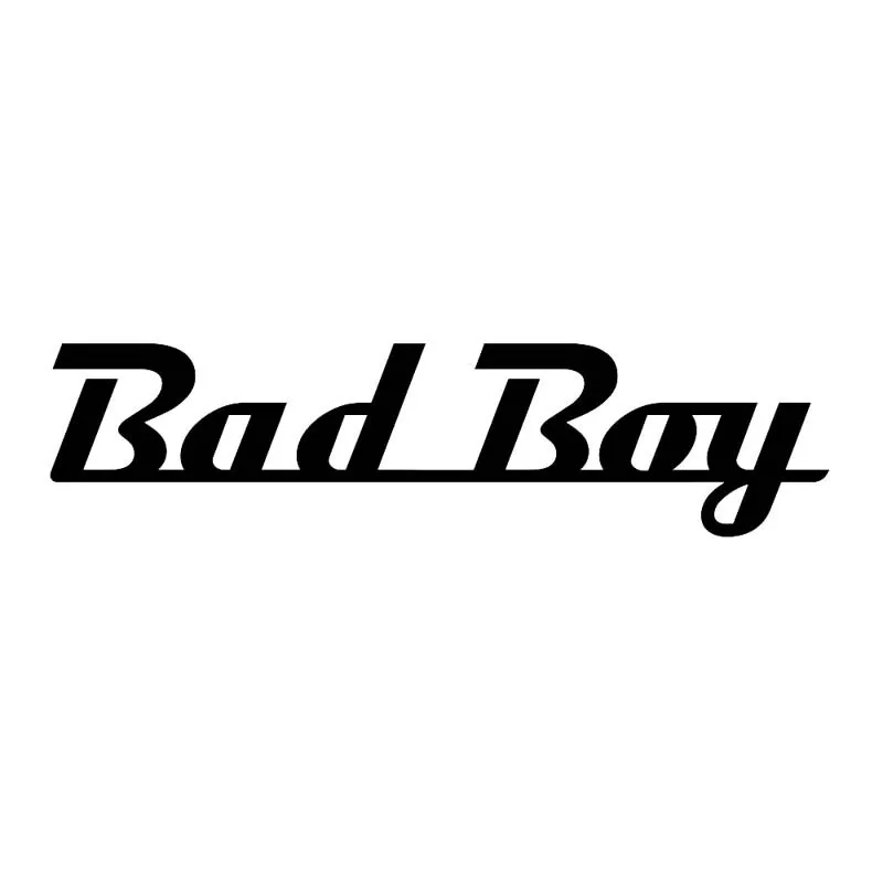 

Bad Boy Vinyl Cartoon Graffiti Car Sticker Motorcycles Bumper Laptop Suv Cover Scratch Decal Auto Exterior Accessories KK17*5cm