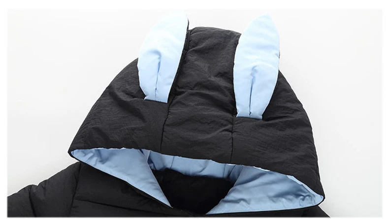 4540852794_1398232400