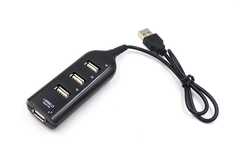 6689808505_551969416