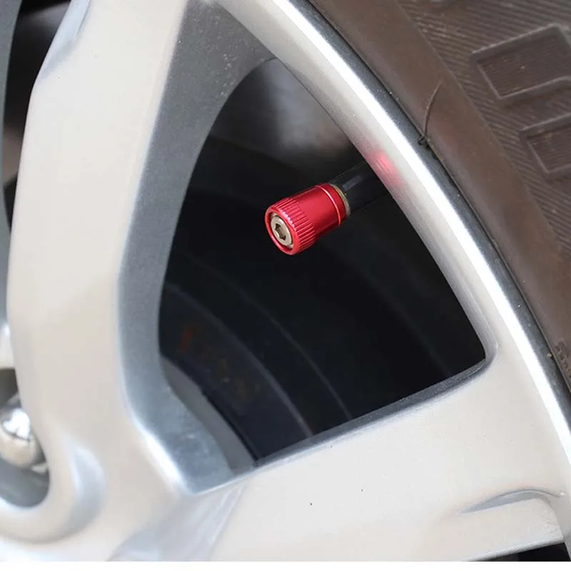 Car tire valve Valve cap (2)