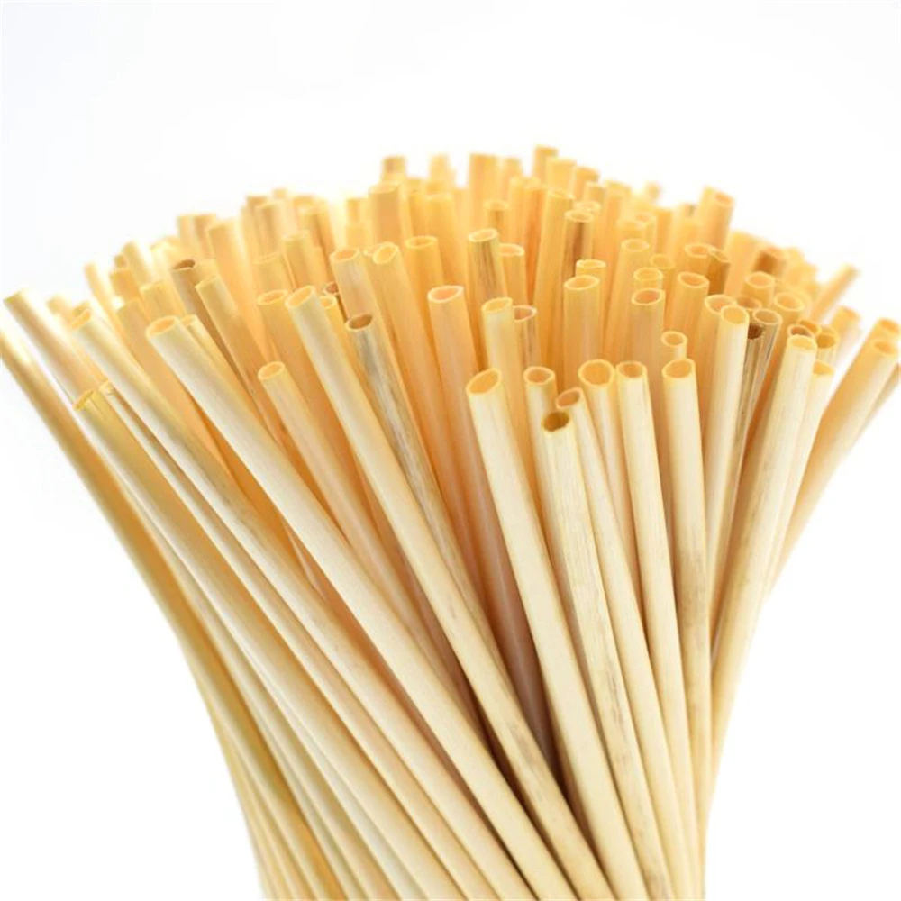 50pcs/set Biodegradable Straws Organic Bamboo Drinking Straws Natural Reusable Wood Straw Wedding Birthday Bar Tools