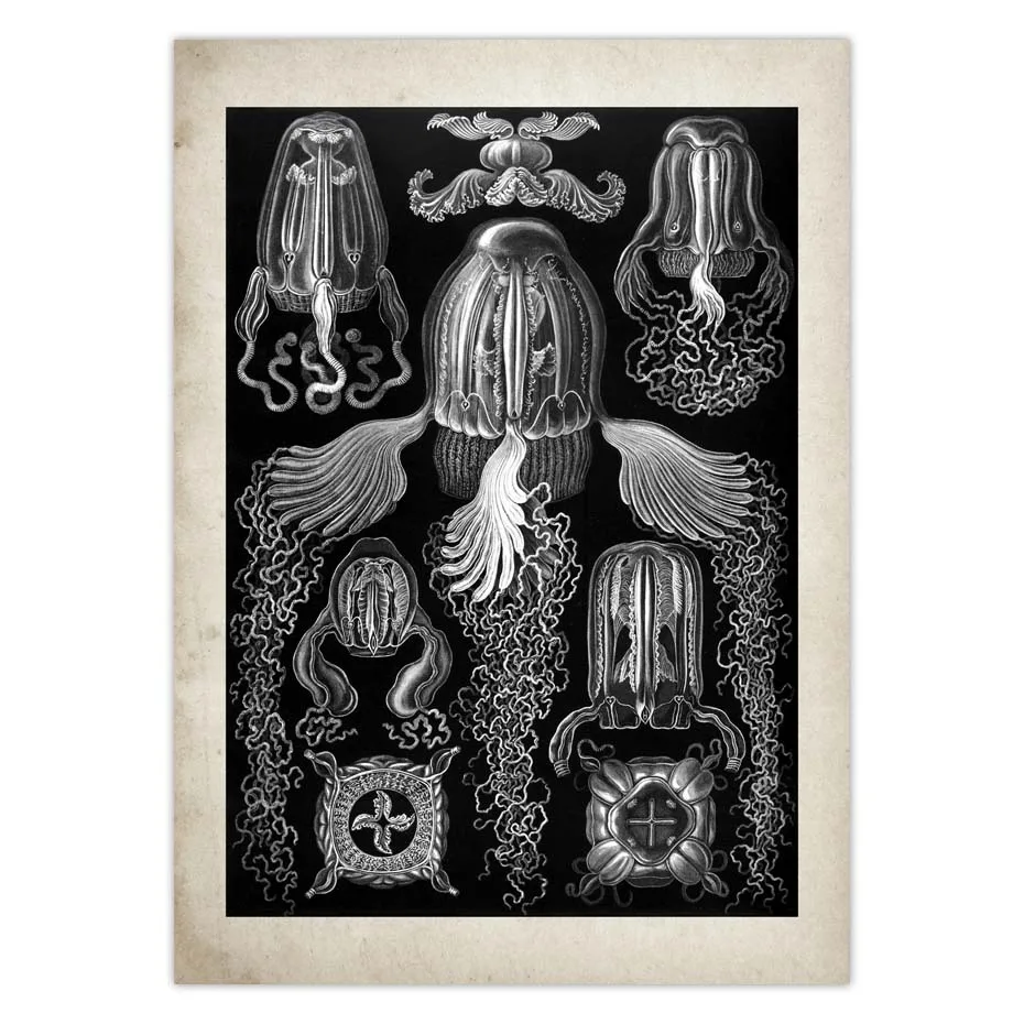 H837f1d930e344c4991034d653abb1447D