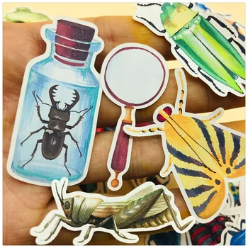 

36Pcs/Bag Vintage Insect Ladybug Bottle Sticker DIY Craft Scrapbooking Album Journal Planner Decorative Stickers