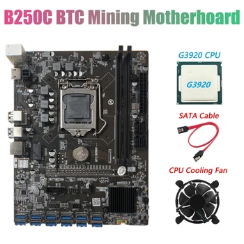 Placa base de minería B250C BTC con CPU G3920 + ventilador + Cable SATA 12XPCIE a ranura para tarjeta gráfica USB3.0 LGA1151 compatible con RAM DDR4