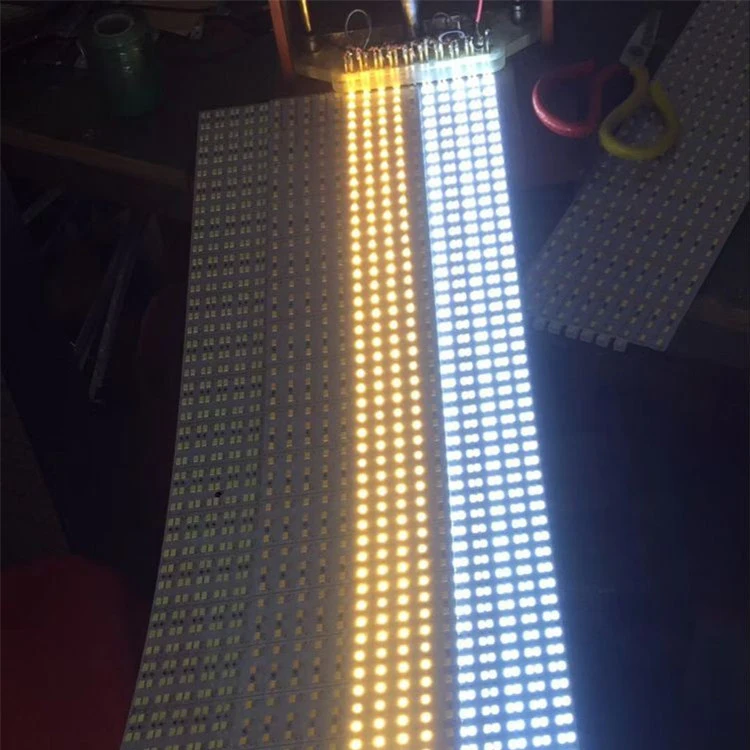 10352185666_1395006469