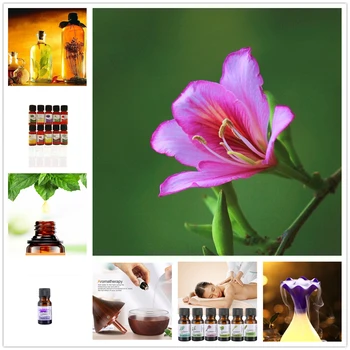 

Essential Oils Organic Chinese Redbud Essential Oil Herbal Purifying Air Eliminate Anxiety Relieve Stress Skin Care Help Sleep