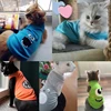 Pet Cat Clothes for Cats Summer Vest T Shirt Dog Cat Clothes Costume for Small Dogs Cartoon Vest for Puppy 35 ► Photo 2/6