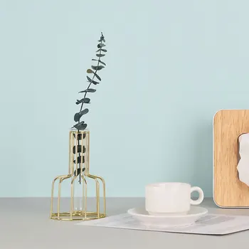 

Iron Vase Glass Tube Vase Water Planting Flower Vase Storage Holder Ornament for Home (Golden)