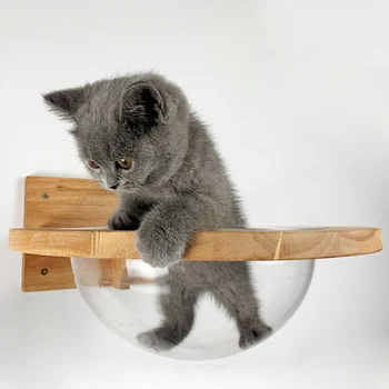 Space Capsule Pet Litter Transparent Window Cat House Wooden Cat Tree Wall Hanging House Wooden Climbing Frame Kitten Bridge Buy At The Price Of 73 35 In Aliexpress Com Imall Com