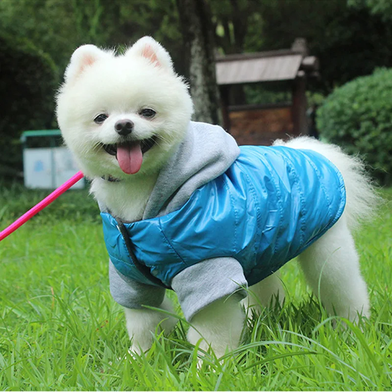 

Soft Super Warm Dog Jacket Hoodie Pet Cat Clothes For Dogs Coat Cotton Perro French Bulldog Clothing Coats For Pets Chihuahua