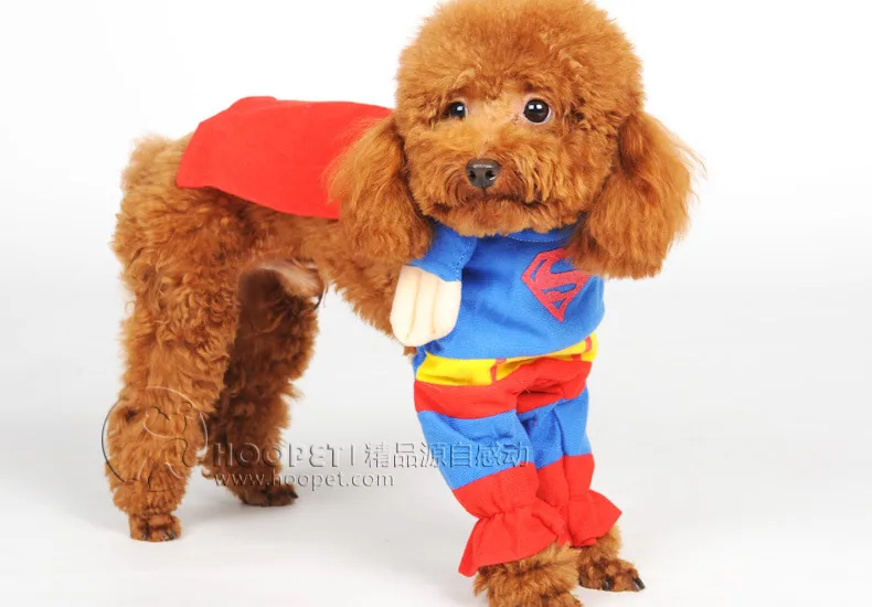 Hoopet Pet Dog Clothes Pet Costume Manufacturers Direct Selling New Style Wholesale Pet Supplies Market