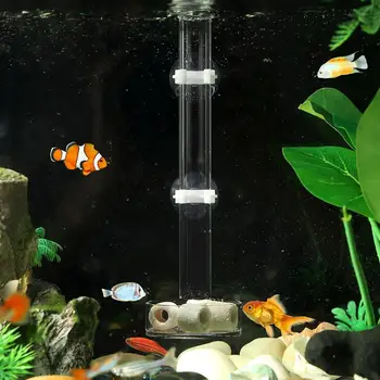 

1pc Fish Shrimp Feeder Tube and Plate Acrylic Clear Shrimp Feeding Tube Aquarium Fish Tank Feeder for Crystal Shrimp