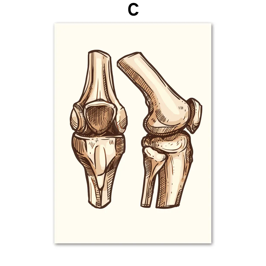 Lungs-Finger-Skull-Bone-joint-Human-Anatomy-Vintage-Wall-Art-Canvas-Painting-Nordic-Posters-Prints-Wall (5)