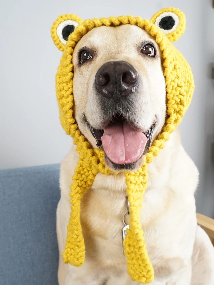 Verjaardag Hond Hoed Winter Party Hond Accessoires Voor Grote Kostuum Furry Helm Honden Gorro Perro Pet Producten XX60DH|Dog - AliExpress