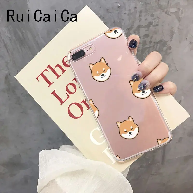 Shiba Inu Dog