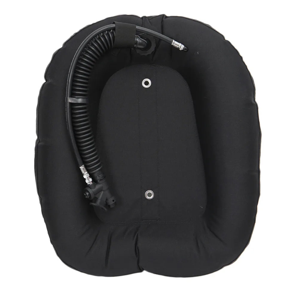 54042527_54042527_1_image