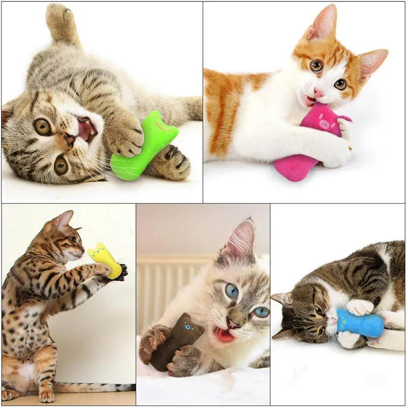Кошачья мята игрушка для домашних животных котенок Когтевран Жевательные Зубы