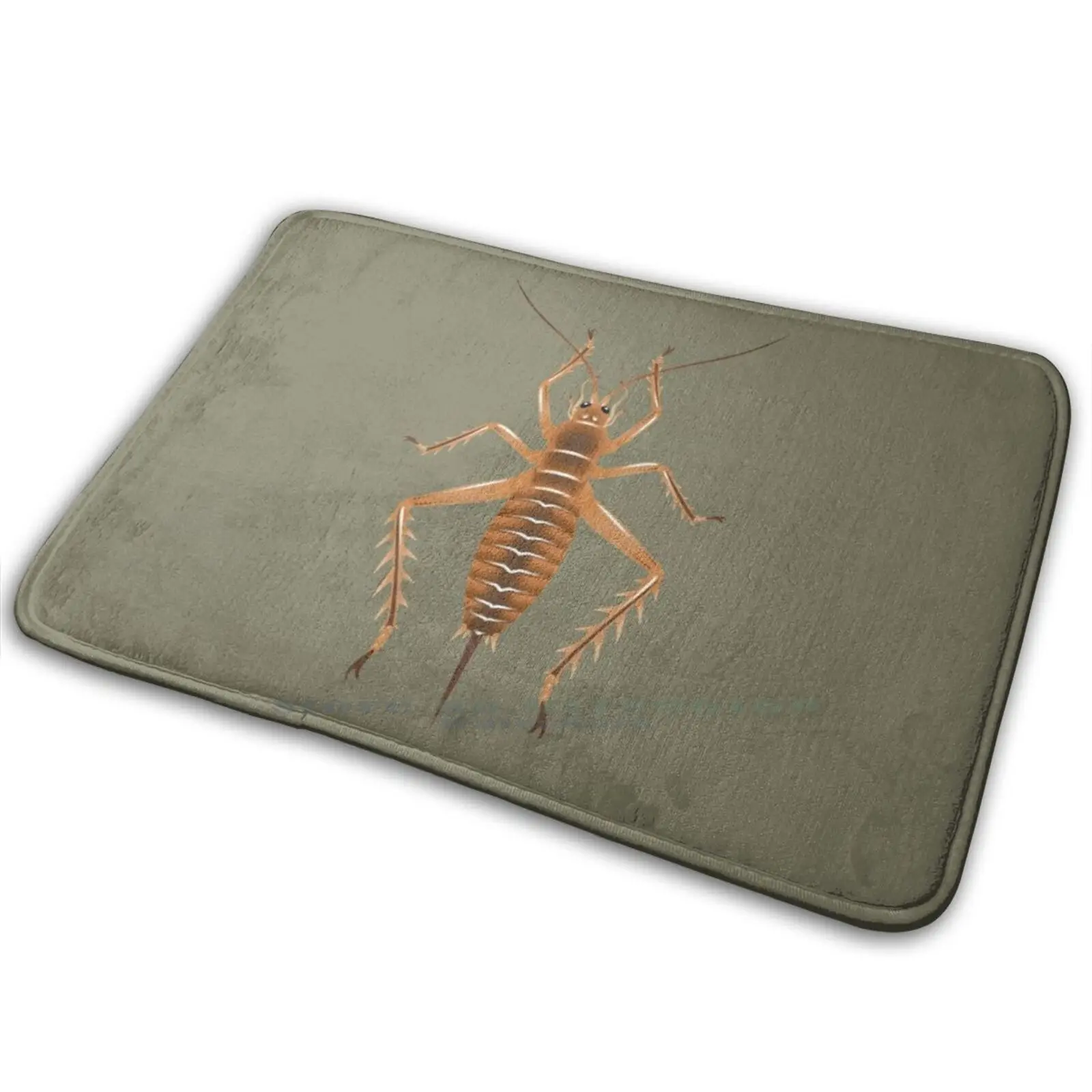 Weta Mat Rug Carpet Anti-Slip Bedroom Entrance Door Cricket Brown Tan New Zealand Nz Kiwi Kiwiana Native Insect | Дом и сад