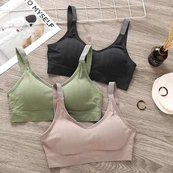 

New Sports Seamless Cotton Vest Underwear Ladies Sexy Soft Chest Pad Bra Gather Beautiful Vest Wrapped Chest