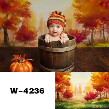 

Watercolor Autumn Landscape Backdrop Child Baby Portrait Photo Studio Background Photography Red Autumn Scene Photoshoot Banner