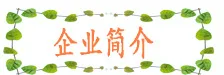 Поперечная граница для ABS пластиковая расческа горячая Распродажа креативная парикмахерская расческа воздушная сумка воздушная Массажная расческа инструмент для красоты Массажная расческа