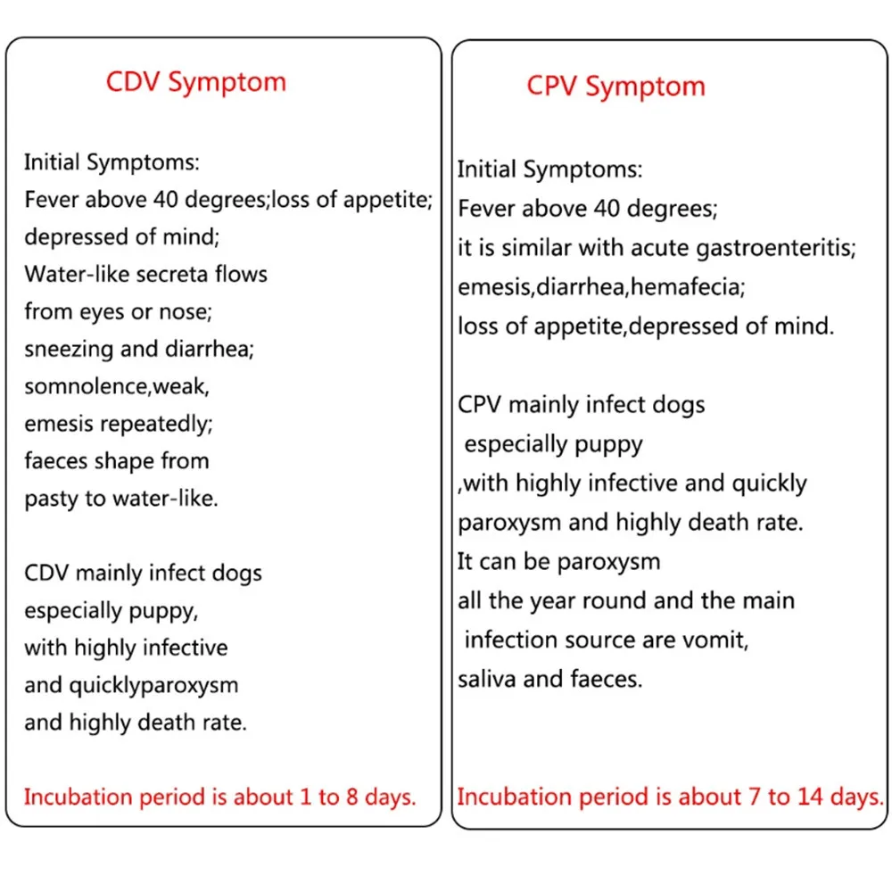 Useful Hot Dog Distemper Virus CDVCPV Home Nasal Swab Health Test Paper One Step Test (10)