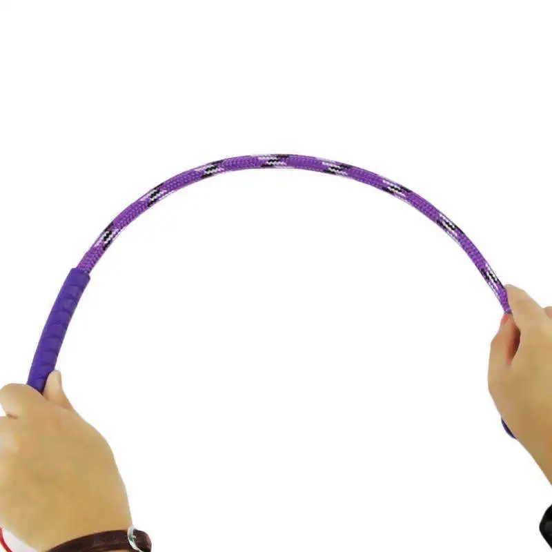 1 pcs Dog Training Tools Bona Fide Loving Punishment Swatter Pet Dog Pee Shit Correction Trainer Teaching Tools Hot E11454