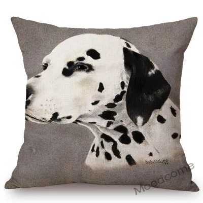 conew_n387 (40) 副本