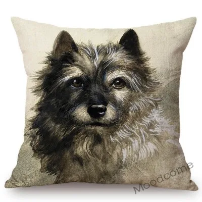 conew_n387 (34) 副本