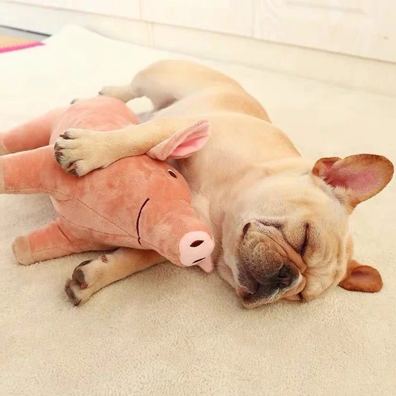 DogMEGA Pig Stuffed Toys for Dogs | Dog Toys Antistress