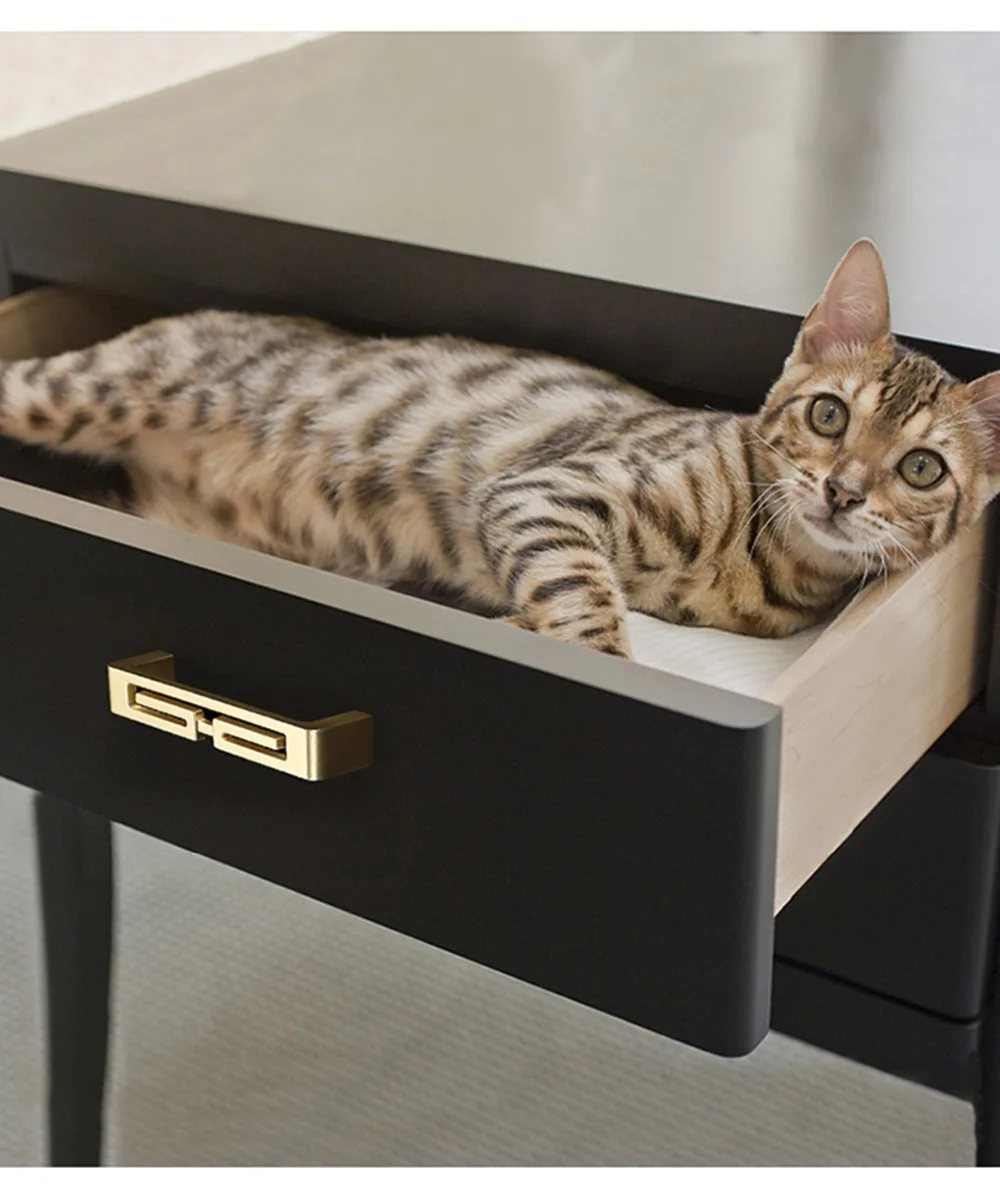 O1CN01ukwqzL1Z5zm9Ns1KE_!!2214983144_副本