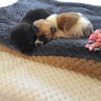 

Soft Fleece Pad Pet Dog Thickened Pet Blanket Blanket Bed Mat For Puppy Dog Cat Coral Sofa Cushion Home Washable Rug Keep Warm