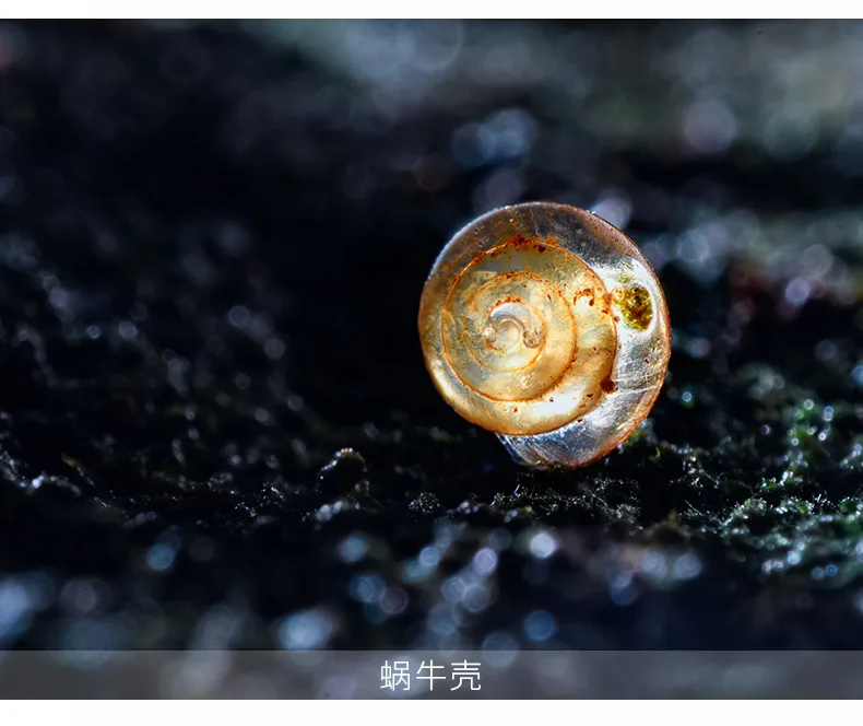 O1CN01WSVdQx1M45AJ3IcaW_!!2583301380