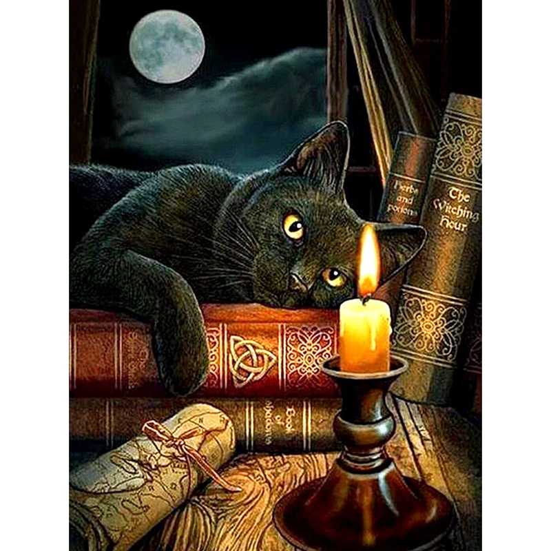 HTB1cNk2Xkfb_uJkSnhJq6zdDVXa5