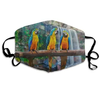 

Blue Yellow Macaw Parrot Waterfall Landscape Customized Dust Mouth Mask Reusable Anti-Dust Face Mask Adjustable Earloop Skin