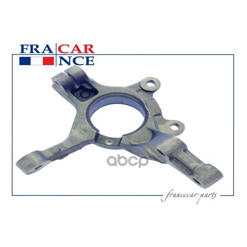 Кулак Поворотный Правый С Абс Francecar Fcr210299 Francecar арт. FCR210299