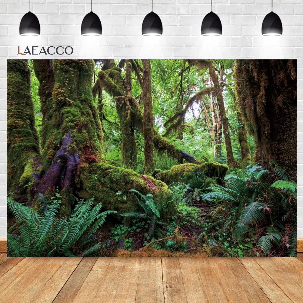 Laeacco    Ĺ  Ĺ ڿ ǳ      ʻȭ  